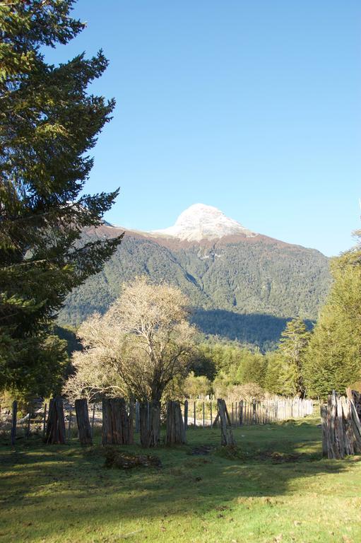 Casa Campo Carretera Austral 锡斯内斯港 外观 照片